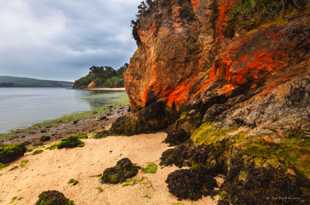 Shorelline of Tomales Bay-2401.jpg Shorelline of Tomales Bay-2401.jpg
